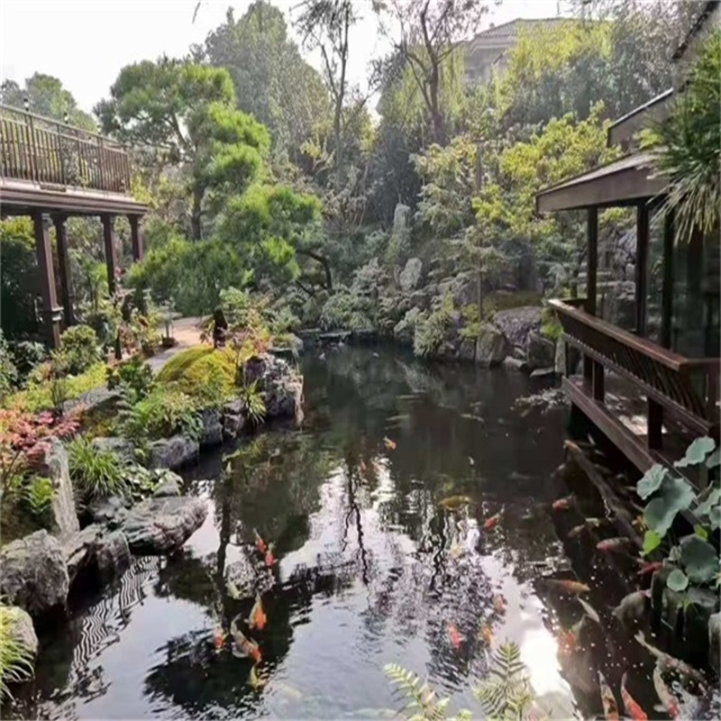 青白江假山植物小鱼池